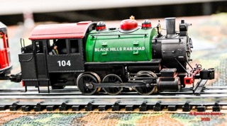 Picture from 2025 train show